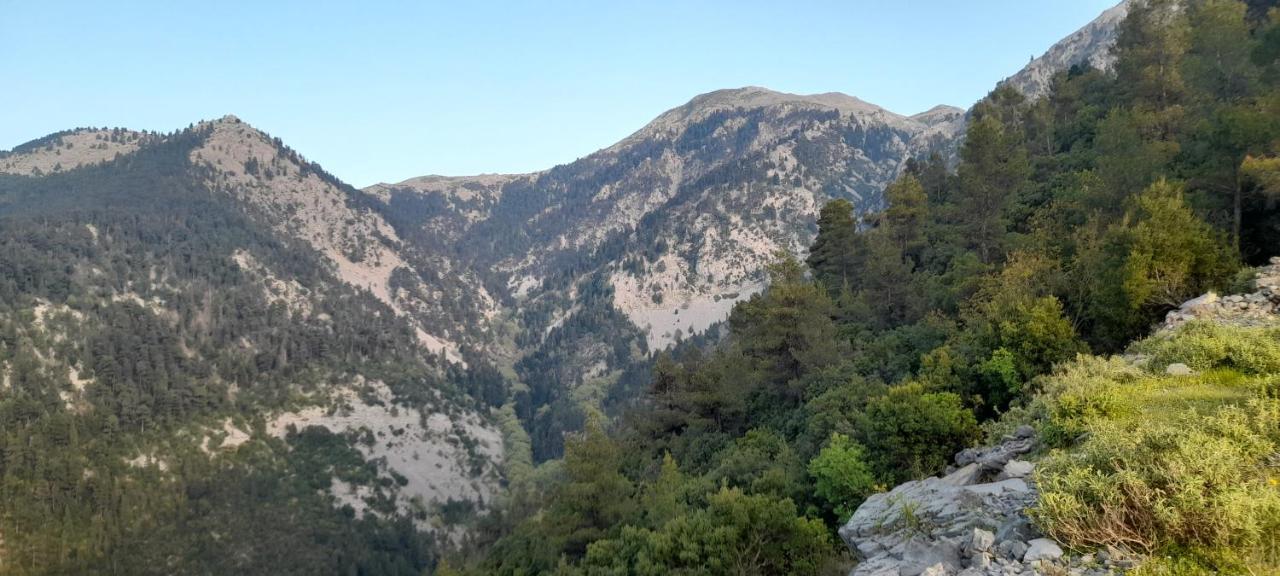 Το Σπίτι Της Ελένης Vlachia Exterior foto