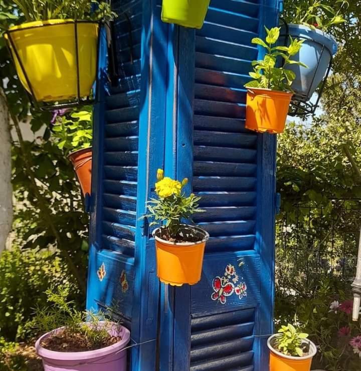 Το Σπίτι Της Ελένης Vlachia Exterior foto