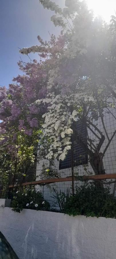 Το Σπίτι Της Ελένης Vlachia Exterior foto