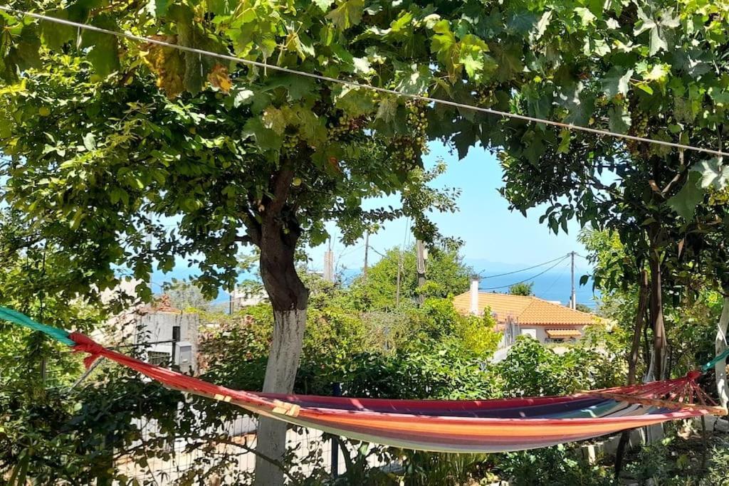 Το Σπίτι Της Ελένης Vlachia Exterior foto