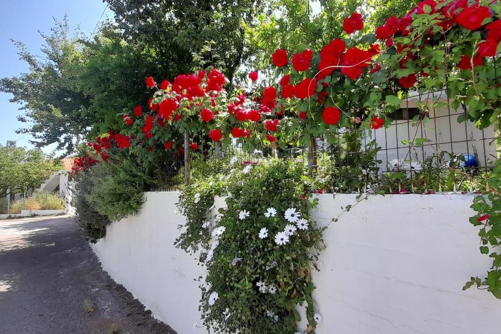 Το Σπίτι Της Ελένης Vlachia Exterior foto