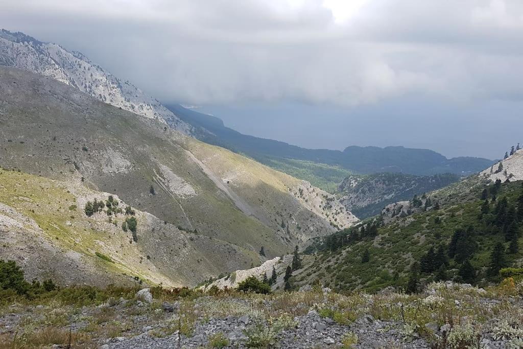 Το Σπίτι Της Ελένης Vlachia Exterior foto