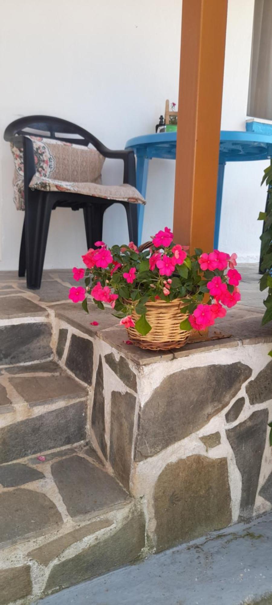 Το Σπίτι Της Ελένης Vlachia Exterior foto