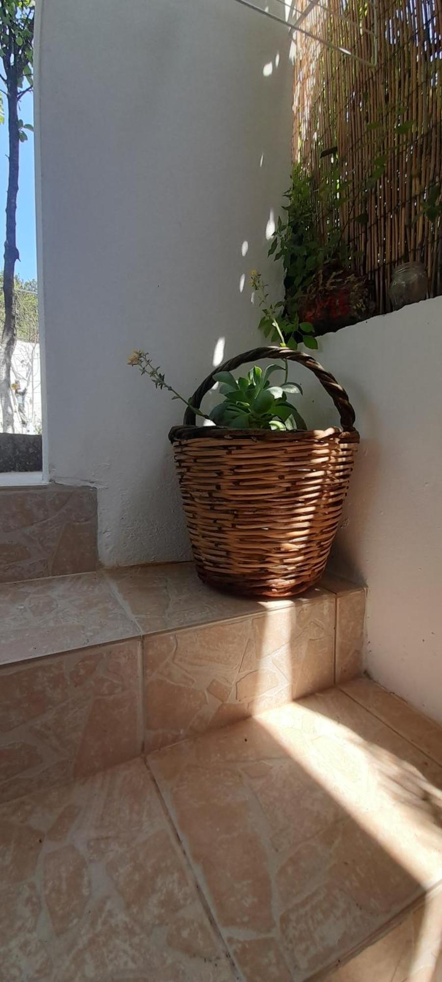Το Σπίτι Της Ελένης Vlachia Exterior foto