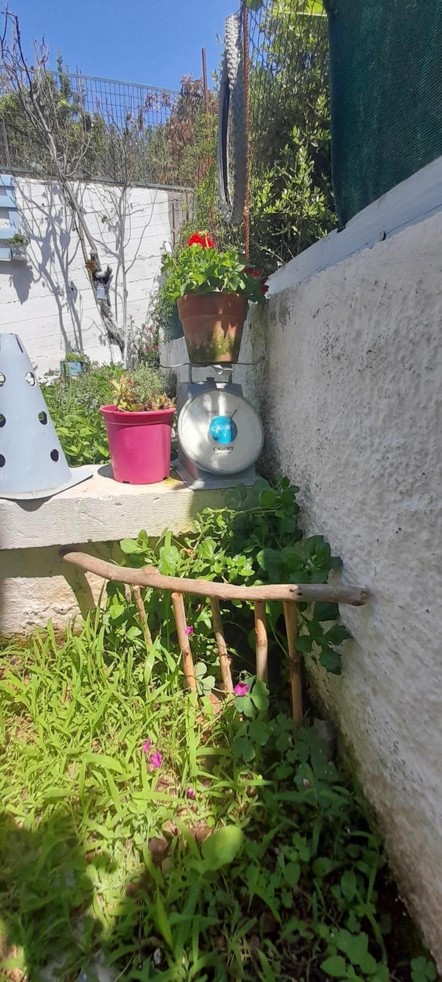 Το Σπίτι Της Ελένης Vlachia Exterior foto