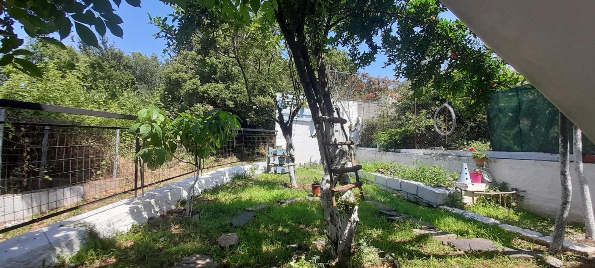 Το Σπίτι Της Ελένης Vlachia Exterior foto